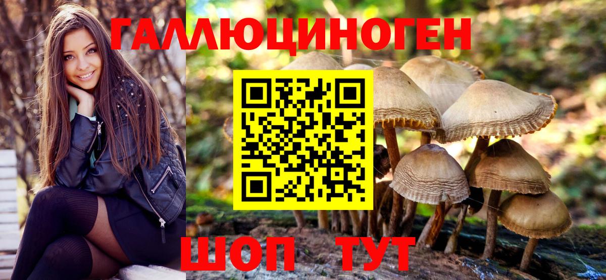 Псилоцибиновые грибы прущие грибы Кизилюрт