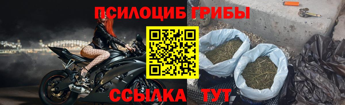 Псилоцибиновые грибы Psilocybe  Вход с VPN  Кизилюрт  Галлюциногенные грибы мухоморы 